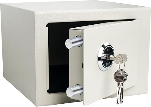 DreamsEden Pequeña caja de seguridad de acero con cerradura de llave, caja de seguridad de acero con llaves para documentos personales, dinero en