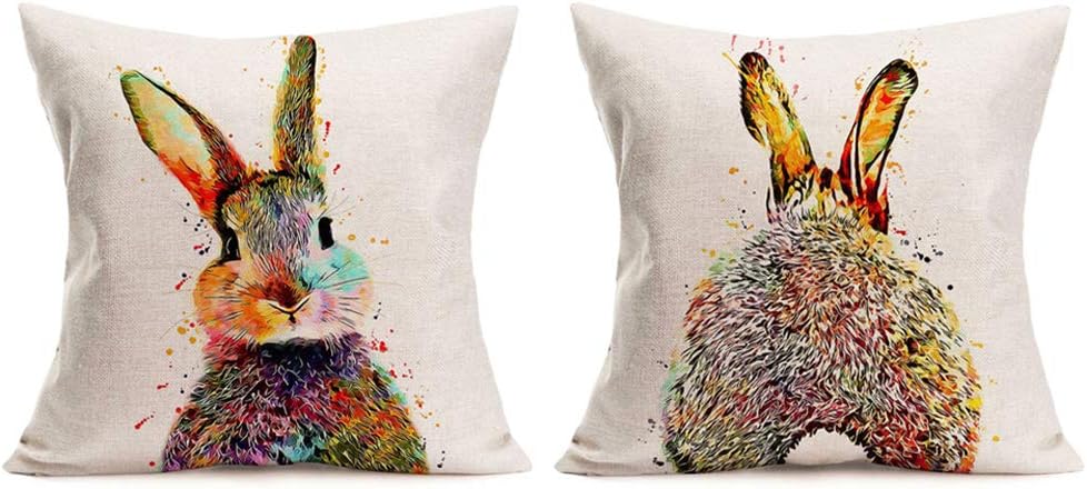 Aremazing Watercolor Bunny Rabbit Throw Pillow Covers Set of 2 Lovely Animal Pattern Bunny Feed Cotton Linen Home Decorative Cushion Cover Pillow Case Square Pillowcase 18 x 18 Inches (Rabbit)