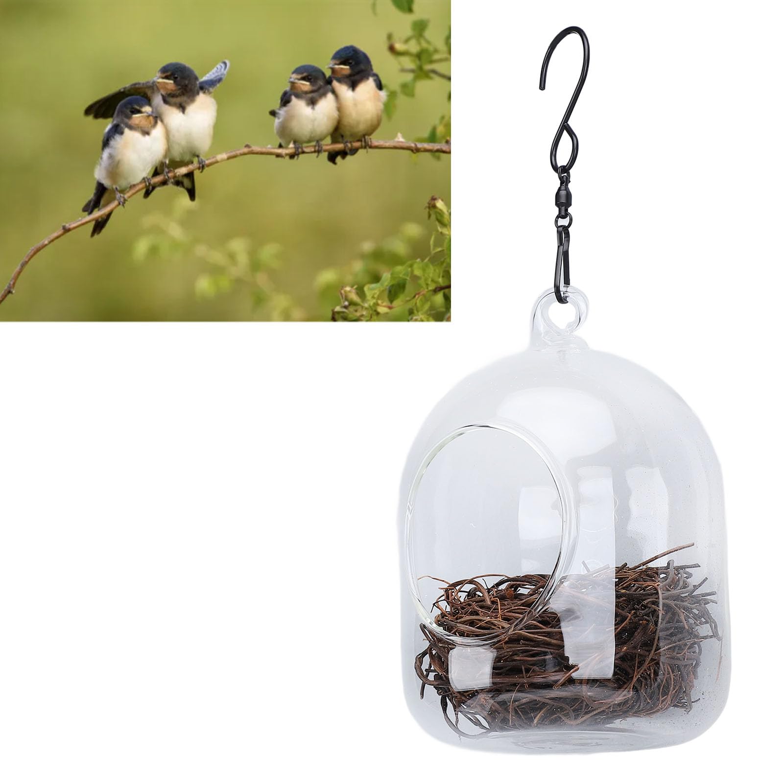 Nichoir à Oiseaux Suspendu Transparent - Abri En Verre Avec Nid Vigne Et Crochet, Pour Jardin Ou Intérieur - 12