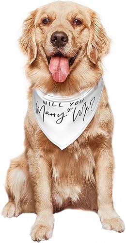Miniatura 8 de Te casarás conmigo Propuesta de matrimonio para perro, accesorios para amantes de los perros, accesorios para fotos de boda (blanco)