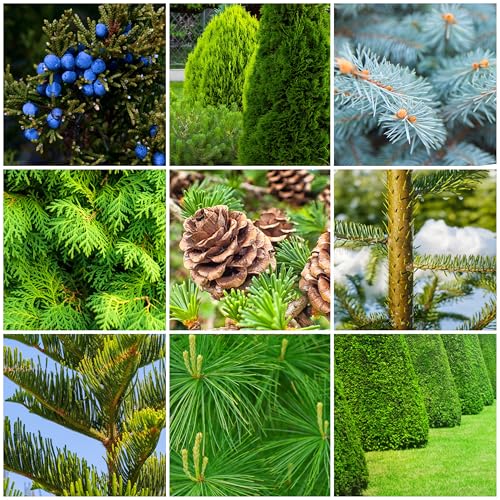 Fertilizer Spikes for Evergreen Trees & Shrubs (72 Spikes - 18.0 Lbs) Alternate view