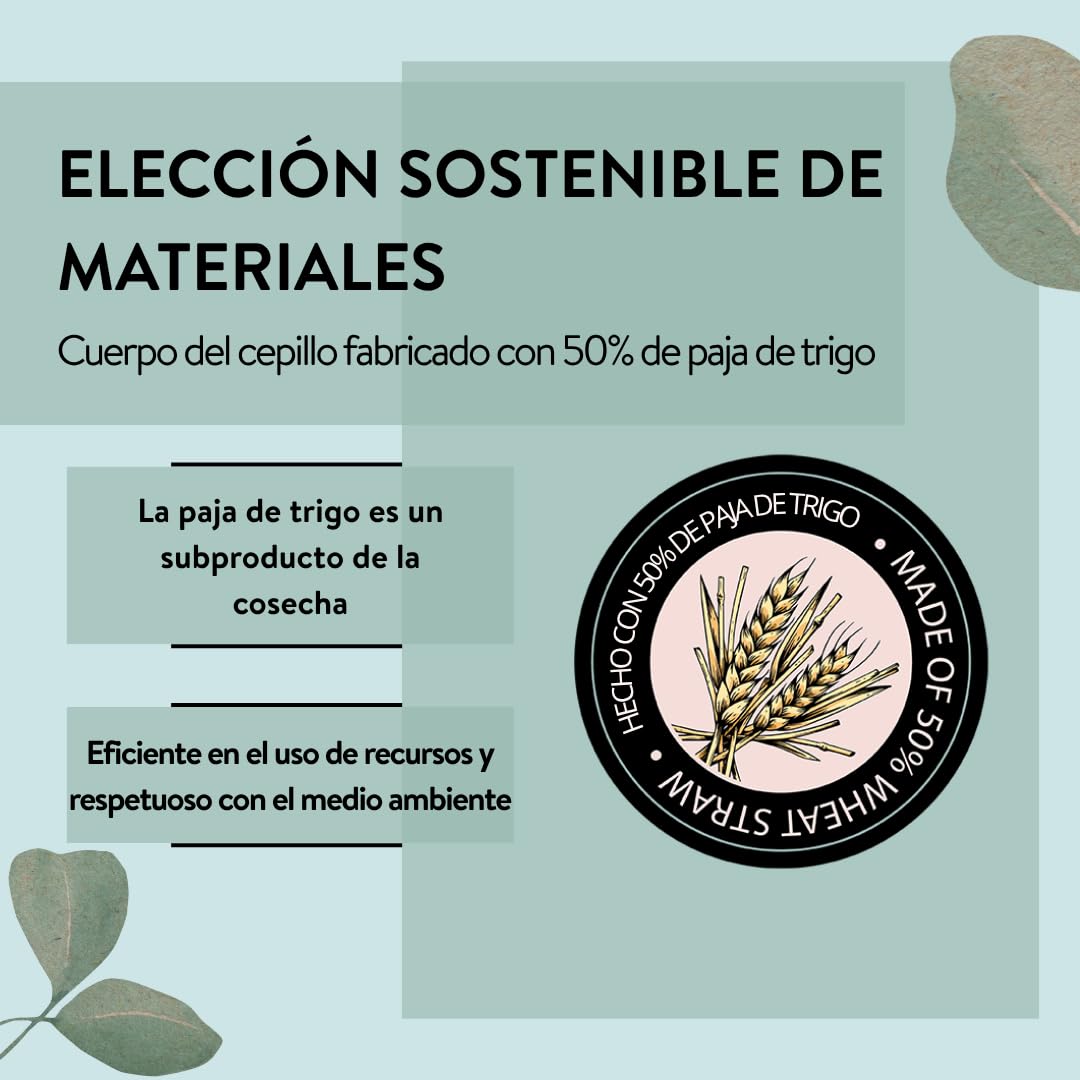 PARSA Beauty Nature Kids cepillo pelo Koala – Peine antitirones sin mango 3D de paja de trigo – Cepillo capilar neutro en carbono para niños sin tirones – Cepillo capilar para niños