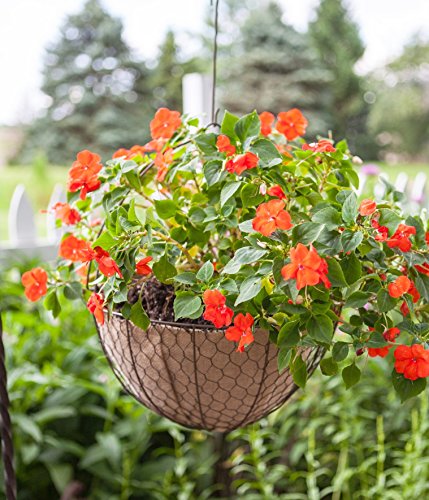Panacea Products 84278 14" Rustc Hanging Basket #TOP1