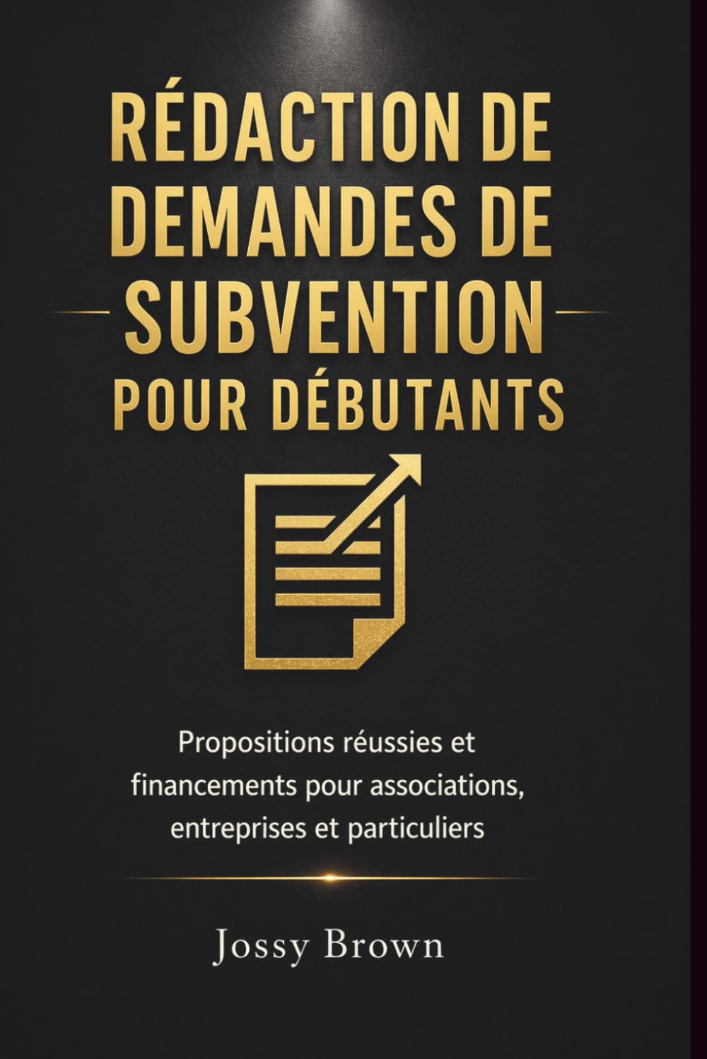 Rédaction de demandes de subvention pour débutants: Propositions réussies et financements pour associations, entreprises et particuliers