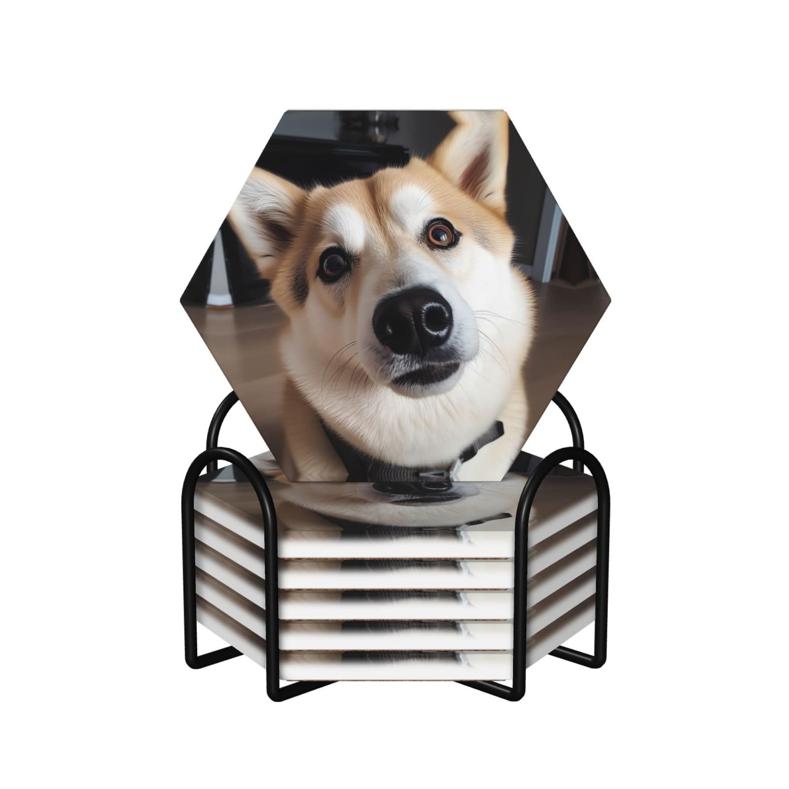 Animal Dog Photo Print Coasters for Drinks Set of 6 with Holder Cork Base Cup Coaster Absorbent Ceramic Cup Mat for Home Dining Room Decor