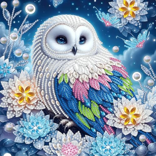 AIBOERL Diamond Art Kits for Adults，Owl Special Shapes Diamond Painting