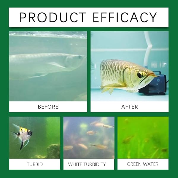 3 pièces Comprimés Puissants de Purification d'eau d'aquarium pour bac à Poissons, Lot de 35 Pastille Purification Eau pour Aquariums éliminant la Turbidité, Dispositif Portable pour Aquarium - 2