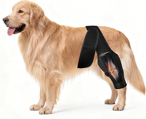 Rodillera para perro para desgarro del ligamento cruzado del ligamento cruzado para perros, soporte ajustable para piernas delanteras y traseras,