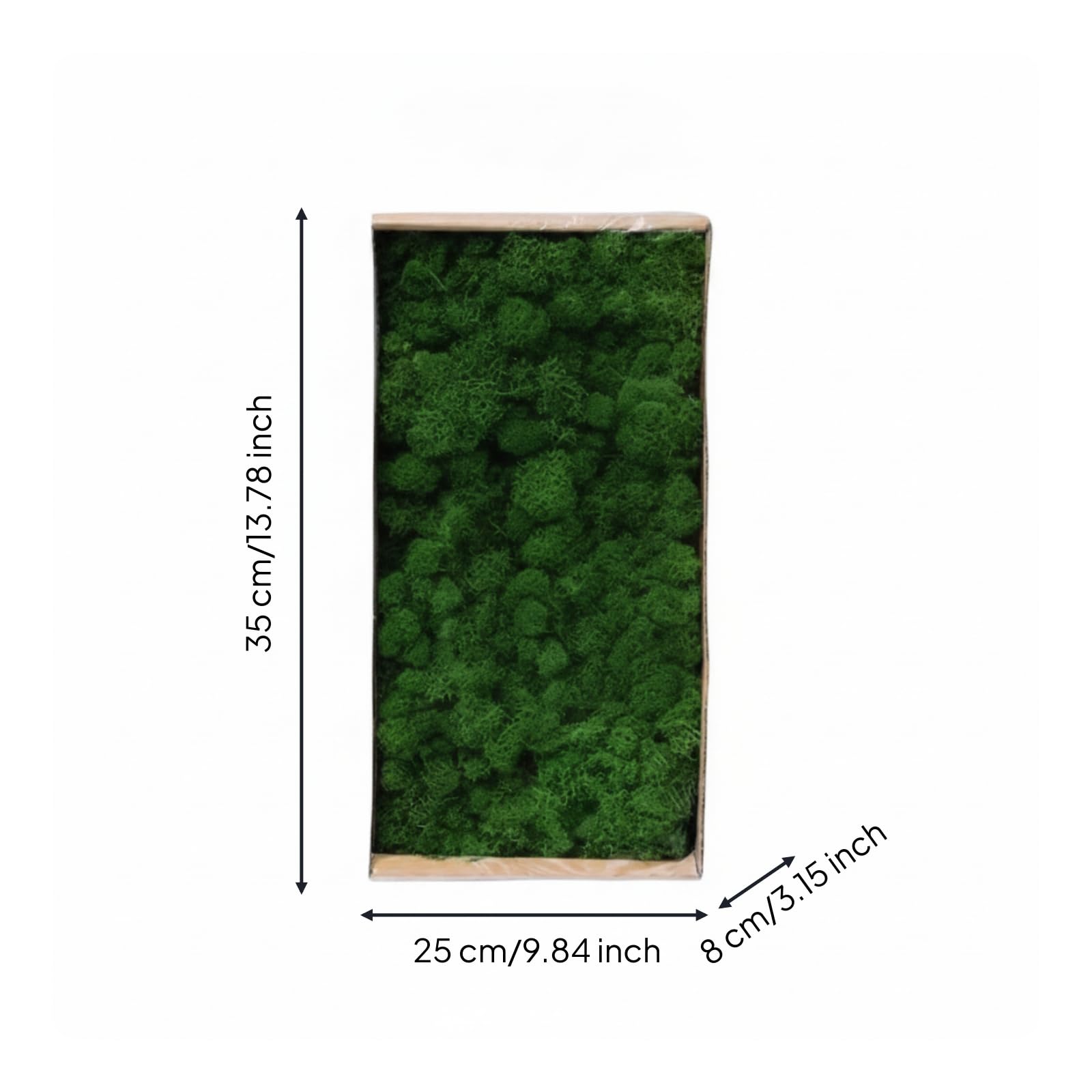 Muschio Stabilizzato Resistente Muschio Decorativo Flessibile Piante per Decoratori, Verde Scuro 1