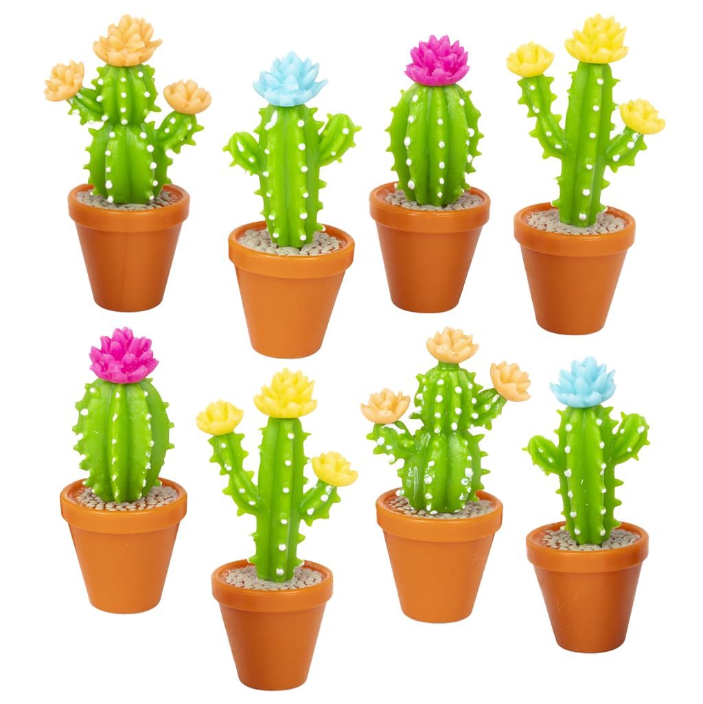 Amazon.com: Accoutrements Archie McPhee Itty Bitty Cactus: That's