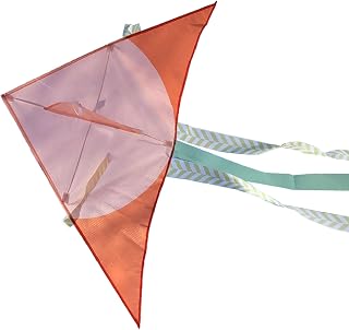 Pipa de Desenho Animado, Padrão Único Resistente Ao Desgaste Pipa Triangular para Quintal (Laranja)