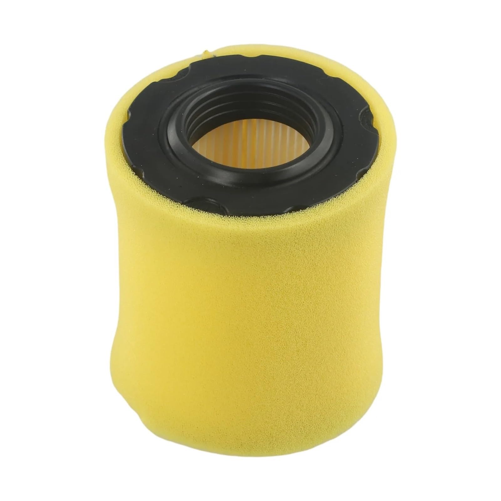 Filtre à air pour moteurs 591583 pour retrouver une pelouse impeccable
