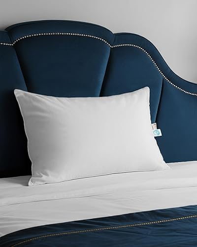 finbuco 750 Fill Power White Goose Down Pillow, Standard Size 20x26 Inches - for Back, Side and Stomach Sleepers - Includes Pillowcase for Home, Travel, Dorm or Guest Room (1 Pack)