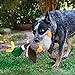 Kong Shakers Honkers Hundespielzeug, Ente, klein
