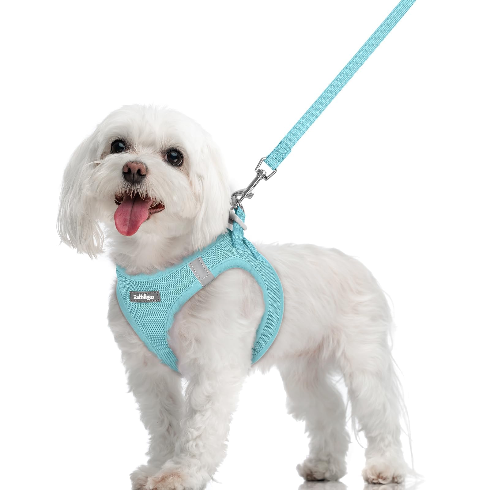 rabbitgoo Dog Harness Small Dog and Leash Set, Step-in Soft Mesh Puppy Harness with Reflective Strips, Lightweight Breathable Pet Vest for Walking Training, Mint Blue, M