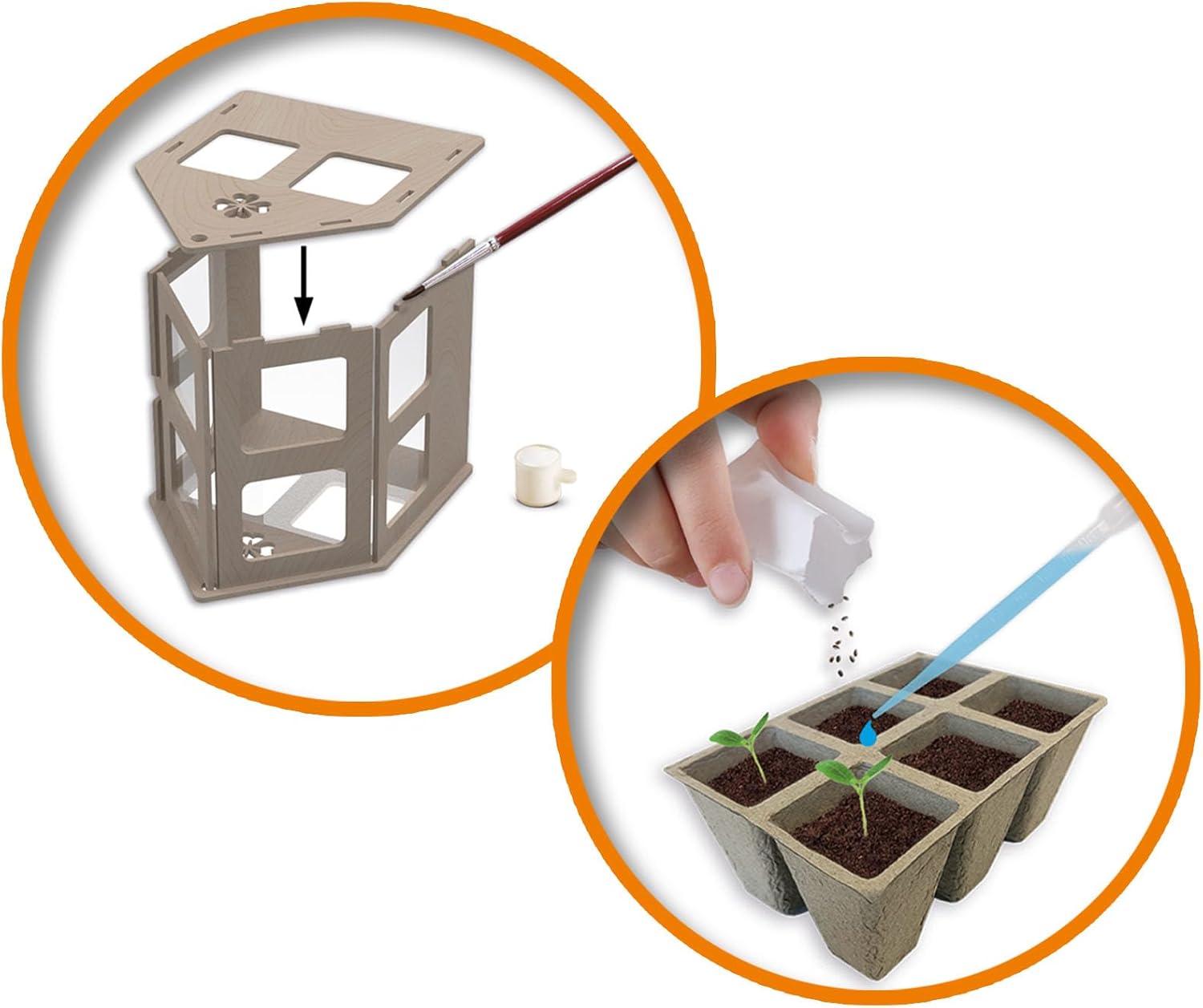 SES Creative - Greenhouse Veggies DIY - (S25203)
