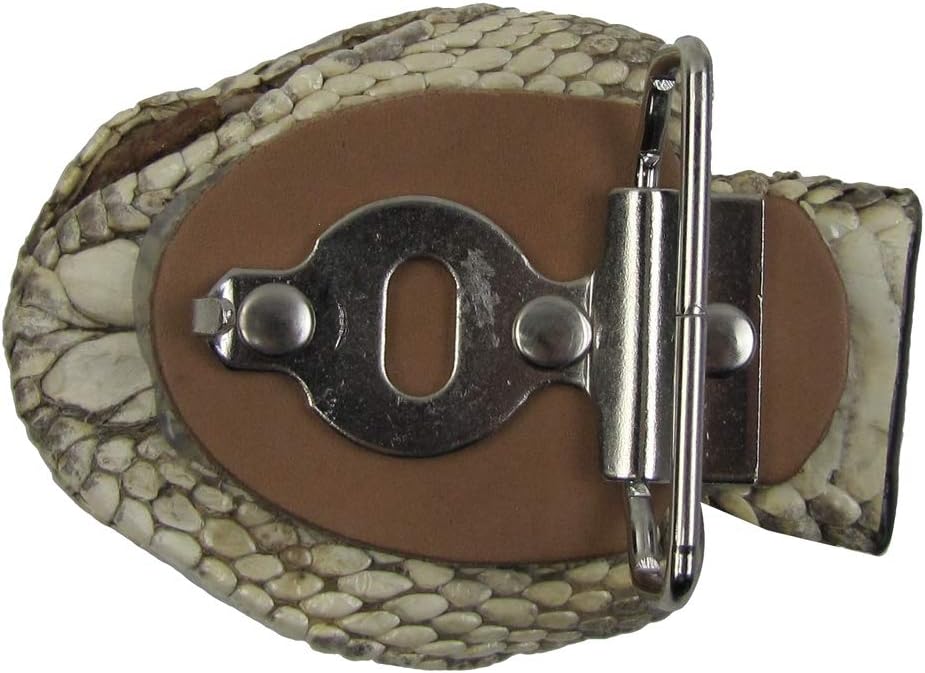 Treasure Gurus Genuine Taxidermy Real Rattlesnake Full Head Belt Buckle Snake Skin Clothing Accessory
