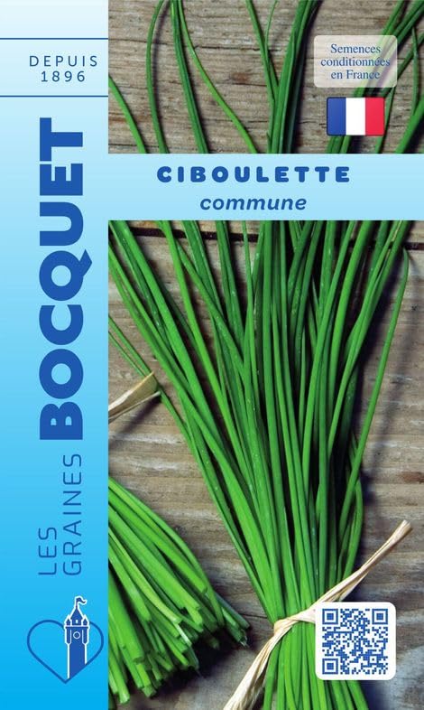 Sachet de graines de Ciboulette Commune (civette) - 1 g - légume tige - LES GRAINES BOCQUET