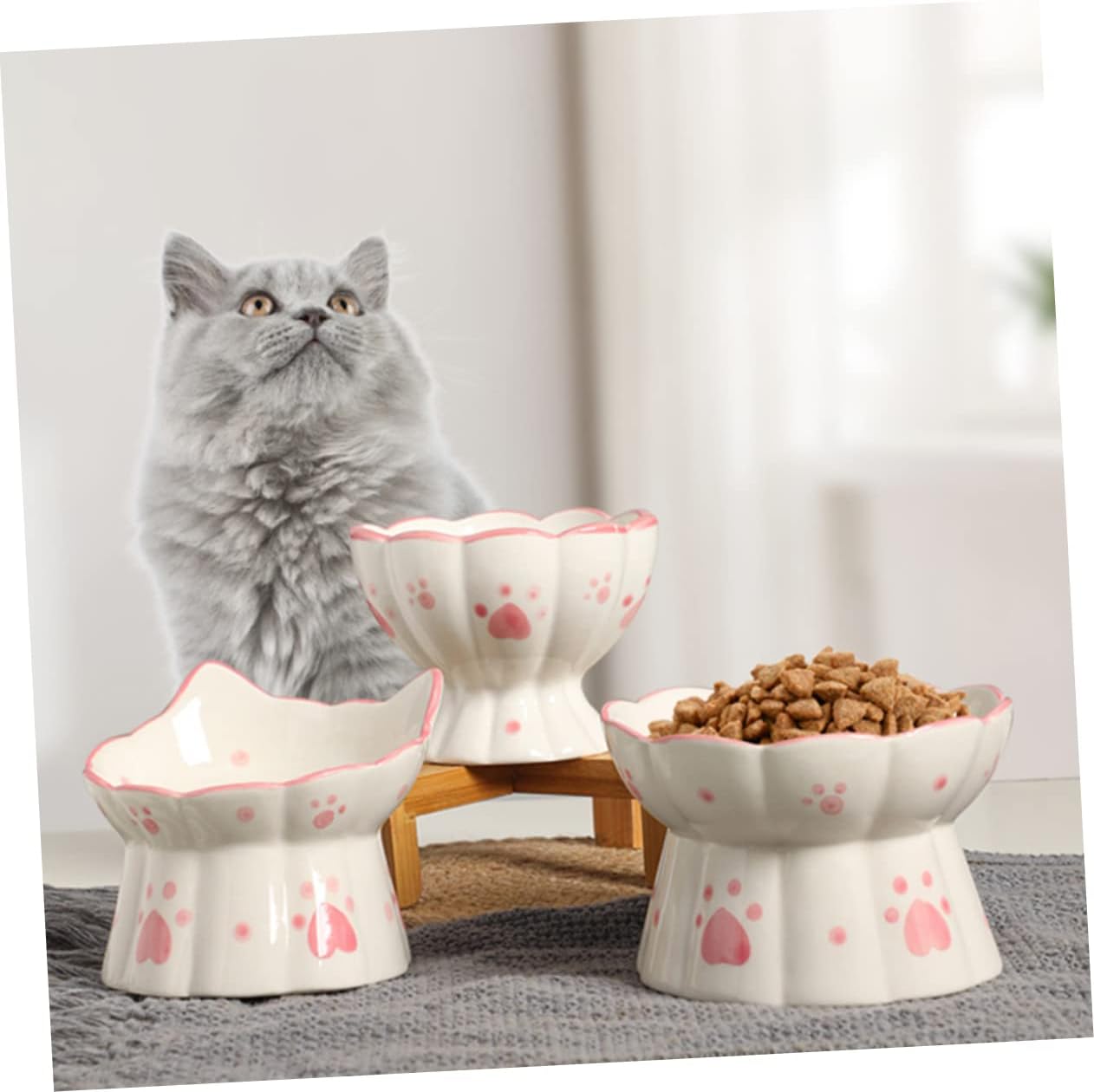 DECHOUS 2pcs Elevated Cat Bowl Ceramic Raised Pet Feeder with Smooth Surface and Capacity Neck Friendly Tilted Design for Comfortable Feeding and Drinking Suitable for Indoor Cats and Dogs