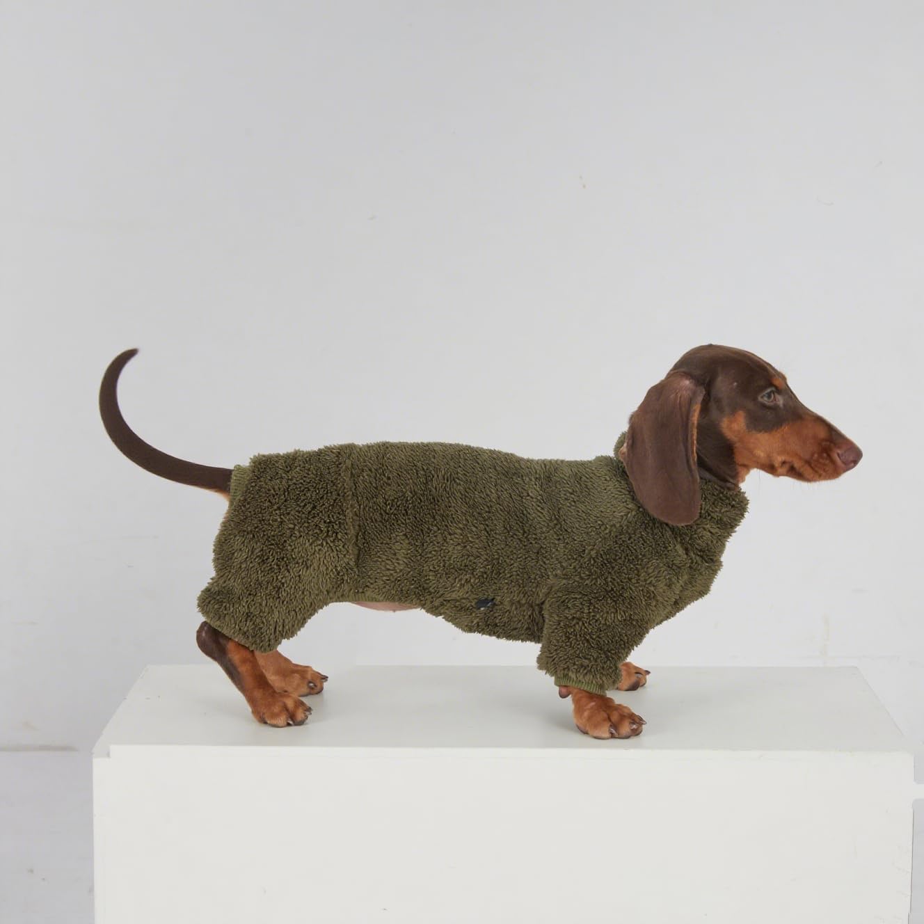 Dachshund Dog Fleece Jumpsuit Turtleneck Sweater, Suitable for Dachshunds, Winter Soft Cozy Dog Pajamas Clothes (Dark Green, Small)