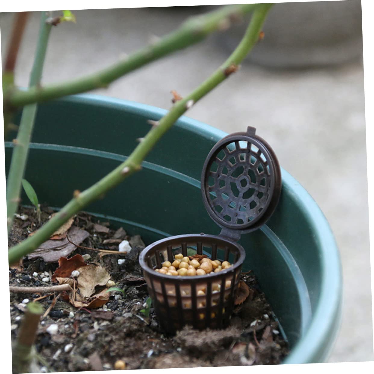 BESPORTBLE 150pièces Boîte à Engrais Réutilisable Avec Couvercle Lot De Contenants Pour Fertilisant De Plantes Idéale Pour Bonsaïs Et Jardinage Les Animaux Vent