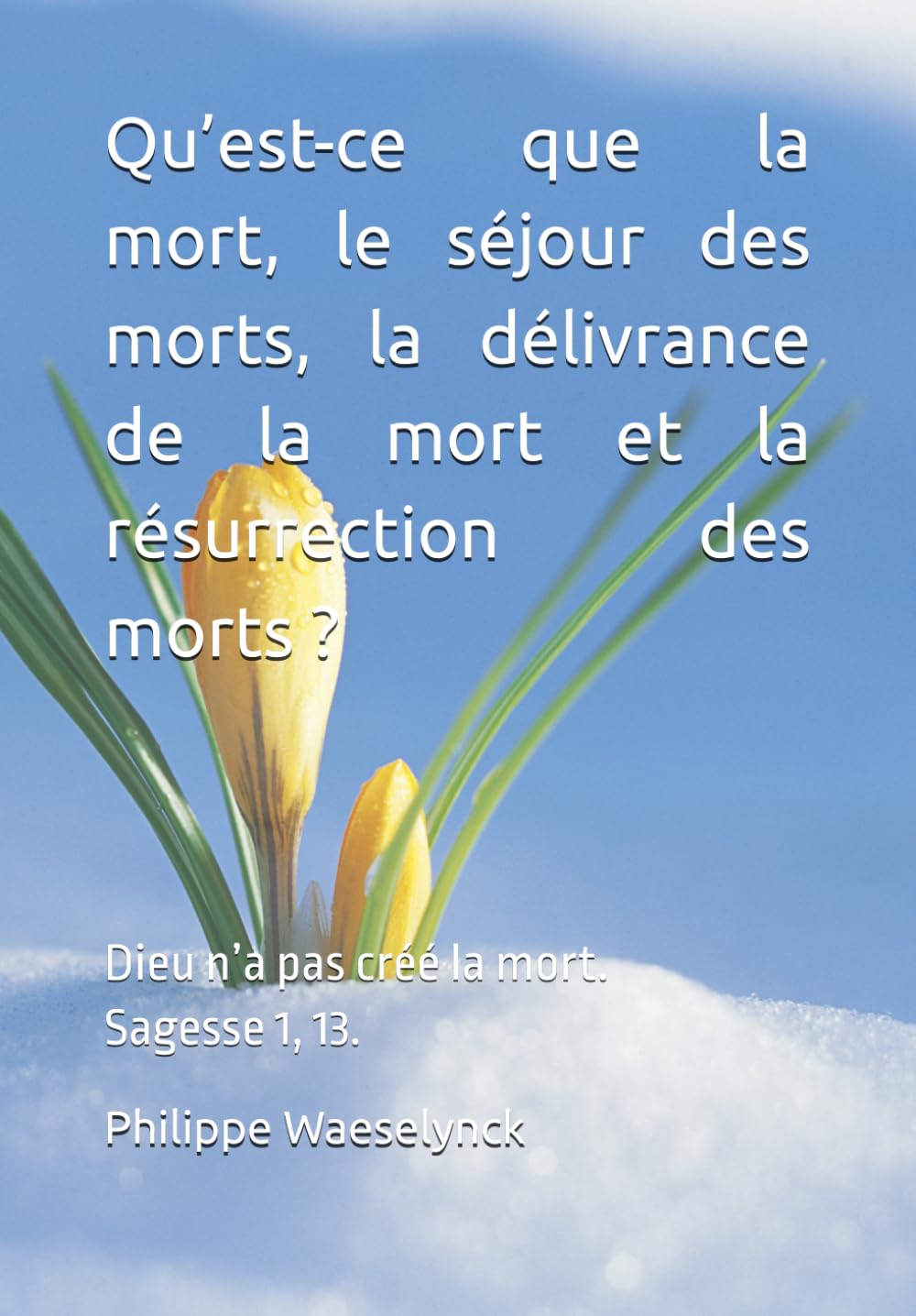 Qu’est-ce que la mort, le séjour des morts, la délivrance de la mort et la résurrection des morts ?: Dieu n’a pas créé la mort. Sagesse 1, 13. (Livres de Rodolphe Salzmann)