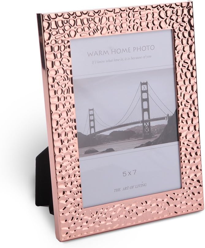 Modern Simplism Style- Iron SilverLeather Picture Frame K501-2 (5x7, Rose Gold)