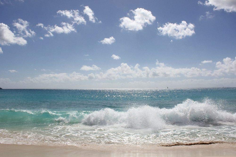 Amazon Co Jp 晴れた日の壁紙 ビーチの壁紙 キャンバス ステッカー 印刷 壁紙ポスター はがせるシール式 写真 特大 絵画 壁飾り 90cmx60cm ホーム キッチン