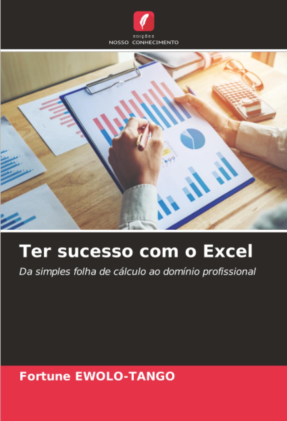 Ter sucesso com o Excel: Da simples folha de cálculo ao domínio profissional