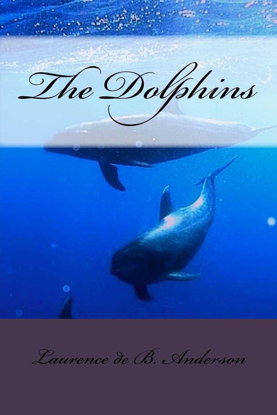 The Dolphins