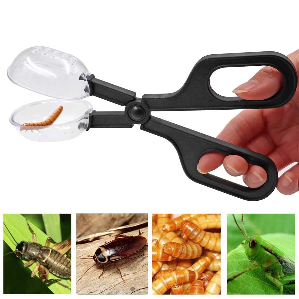 2 Stück Reptilienfütterungsklemme für Reptilien, Kotschaufel, Schaufel für Aquarien, Reinigungswerkzeuge für Reptilien, für Gecko, Eidechse, Bartdrache