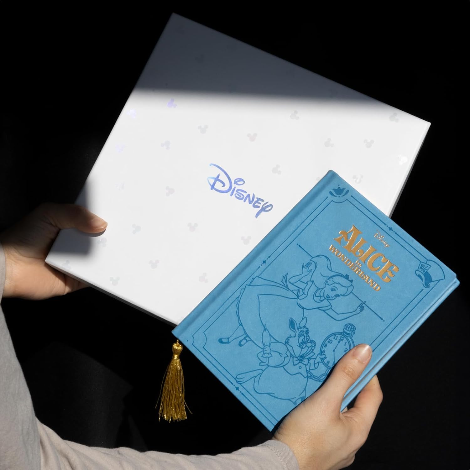 Grupo Erik A5 Notebook With Pen & Gift Box - Disney Alice in Wonderland | Lined Notebook, Note Book A5 Lined | Cute Stationery Gifts, Disney Gifts