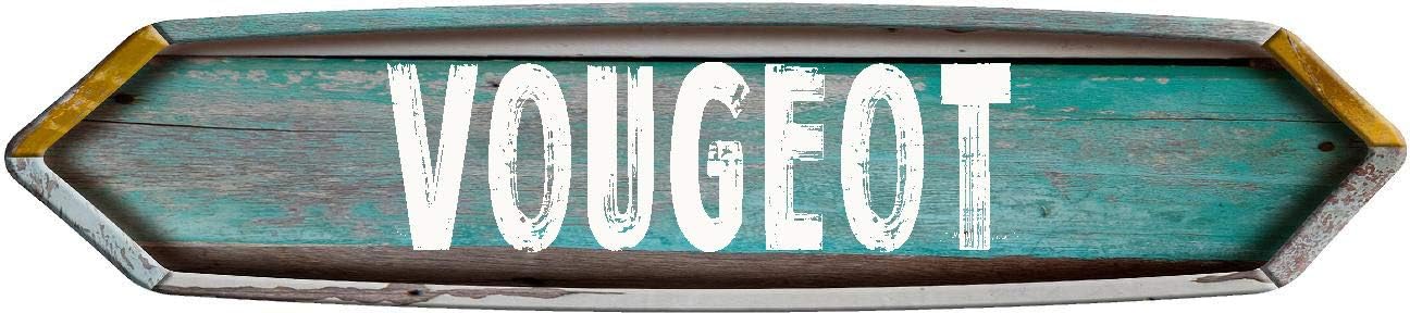 VOUGEOT Double Point Rustic Teal Color Painted Wood Look Magnet for use on Any Steel Surface