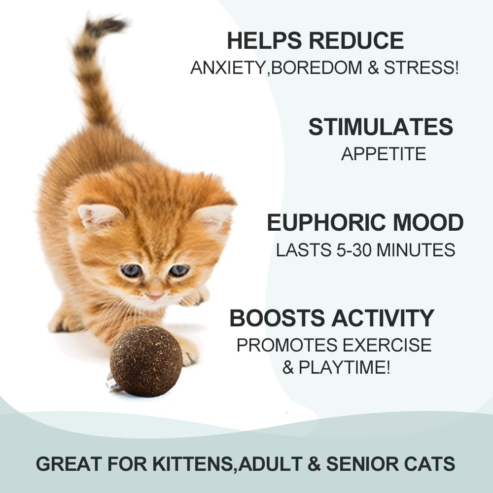 Eaireys Natural Catnip Toys for Indoor Cats Interactive Cat Nip Balls, 5Pcs, 2 Catnip, 2 Silvervine, and 1 Gall Fruit Ball