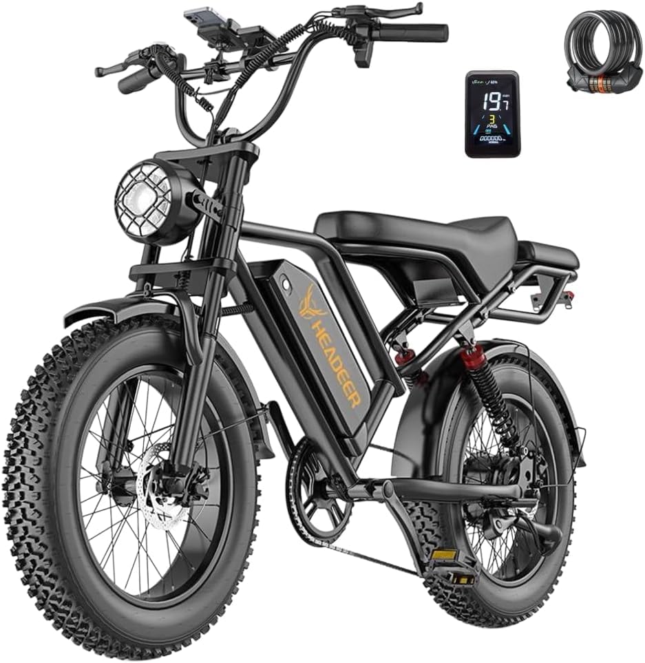 Snokco BK20 Elektrofahrrad für Erwachsene, Abnehmbarer Akku mit 48 V und 20 Ah, 20 x 4,0 Zoll Breite Reifen, 50-100 km Reichweite, Doppelte Scheibenbremse, Vollfederung, 7 Gänge