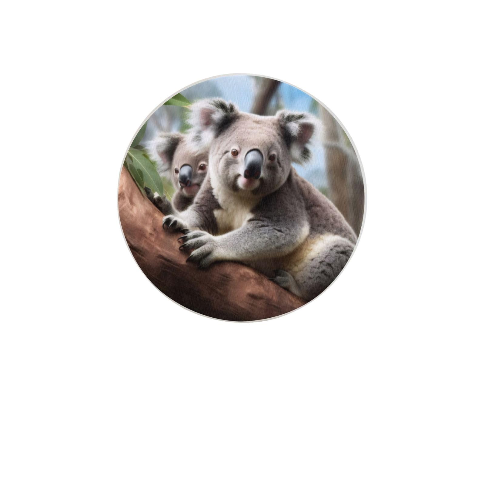 Koala Bear Absorbent Drink Coasters Diatomaceous Round Coaster 4 Inch Reusable Cup Coasters Set 4pc