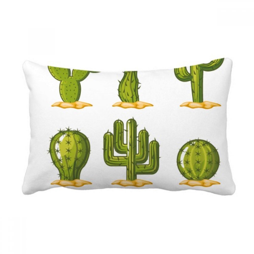 Coussin Lombaire de Qualité Cactus Plantes Grasses Multicolor Housse Décorative
