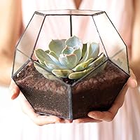 Vista 4 de Macetero de terrario de vidrio geométrico negro para plantas suculentas, decoración de mesa, centro de mesa