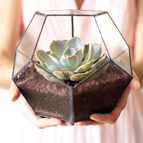 Miniatura 4 de Macetero de terrario de vidrio geométrico negro para plantas suculentas, decoración de mesa, centro de mesa