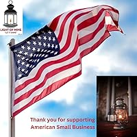 Vista 6 de Light of Mine - Chimeneas de repuesto para lámpara de aceite (3" x 10" escarchadas)