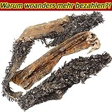 Schecker Dogreform grüner Pansen Natur Gr: 500g Rinderpansen grün für den Hund getrocknet