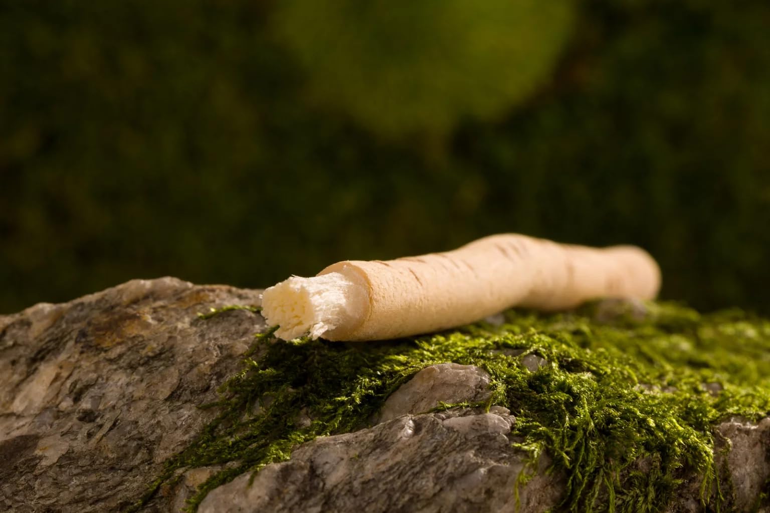 Al-Khair Miswak pręty do czyszczenia zębów, zafoliowane, 100 sztuk