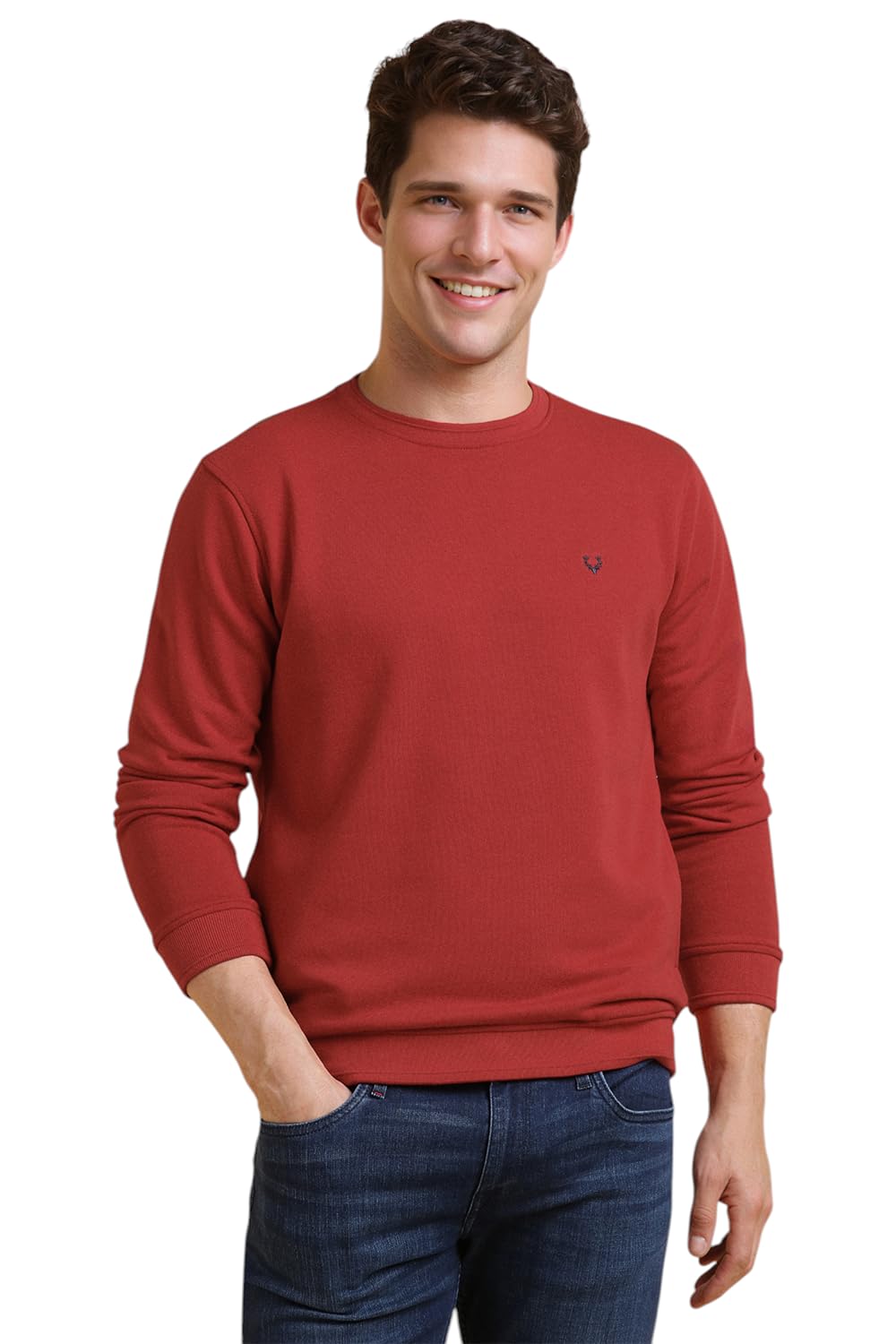 allen solly Men Sweatshirt-picture-40