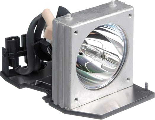 Viking BL-FP200C BL-FS200B lampada per OPTOMA EP739 THEME-S HD70 THEME-S H27 EP738P PX2300 EP745 EP739H THEME-S HD720X THEME-S HD32 THEME-S HD7000 EP739X Viking BL-FP200C BL-FS200B lampada per OPTOMA EP739 THEME-S HD70 THEME-S H27 EP738P PX2300 EP745 EP739H THEME-S HD720X THEME-S HD32 THEME-S HD7000 EP739X