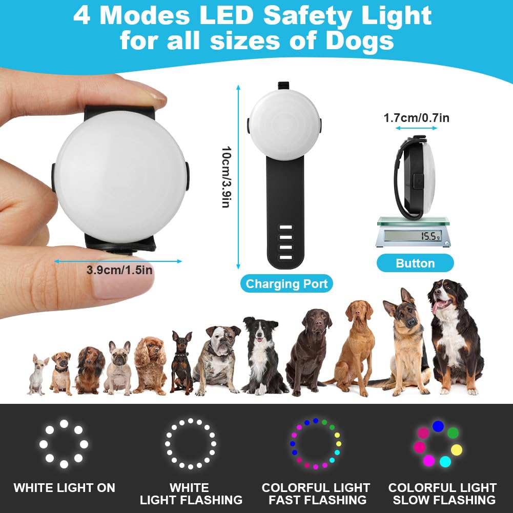 AUAUY Luce Lampeggiante a LED di Sicurezza per Cani Gatti, Luci Ricaricabili USB Targhetta per Cani, lampeggianti Luci di Sicurezza per Animali Domestici