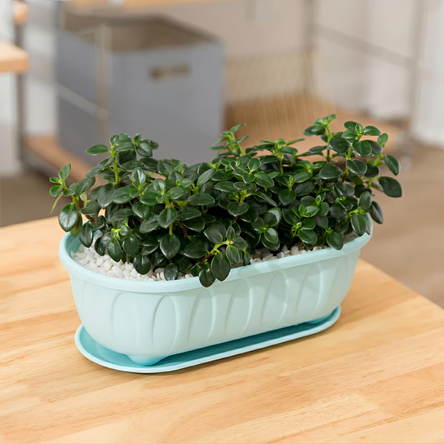 Image of Plastic Rectangle Round Corner Flower Pots with Drainage Hole Saucers Durable Outdoor Indoor Planters with Tray Plant Containers for Balcony, Garden, Home & Office (Sky, 5)