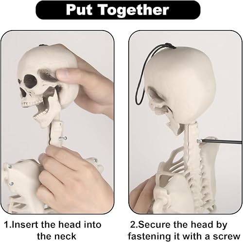 Miniatura 7 de Decoraciones de esqueleto de Halloween  36 pulgadas de cuerpo completo articulaciones, decoración de esqueleto humano realista para colgar