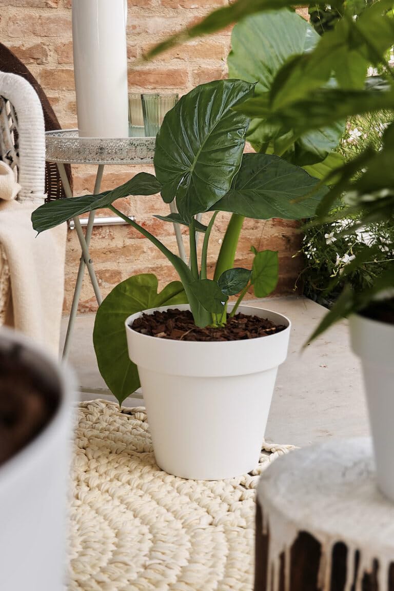 VECA VASO ROTONDO CLEO 80CM 60% RICICLABILE AVANA