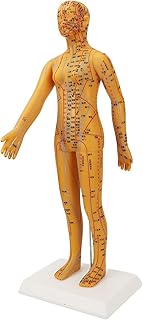 Acupoint Body Model, 20.9in Acupuncture Female Model High Definition Clear Chinese Human Body Acupuncture Model Acupoint Mannequin Pressure Point Models for Teaching Practice