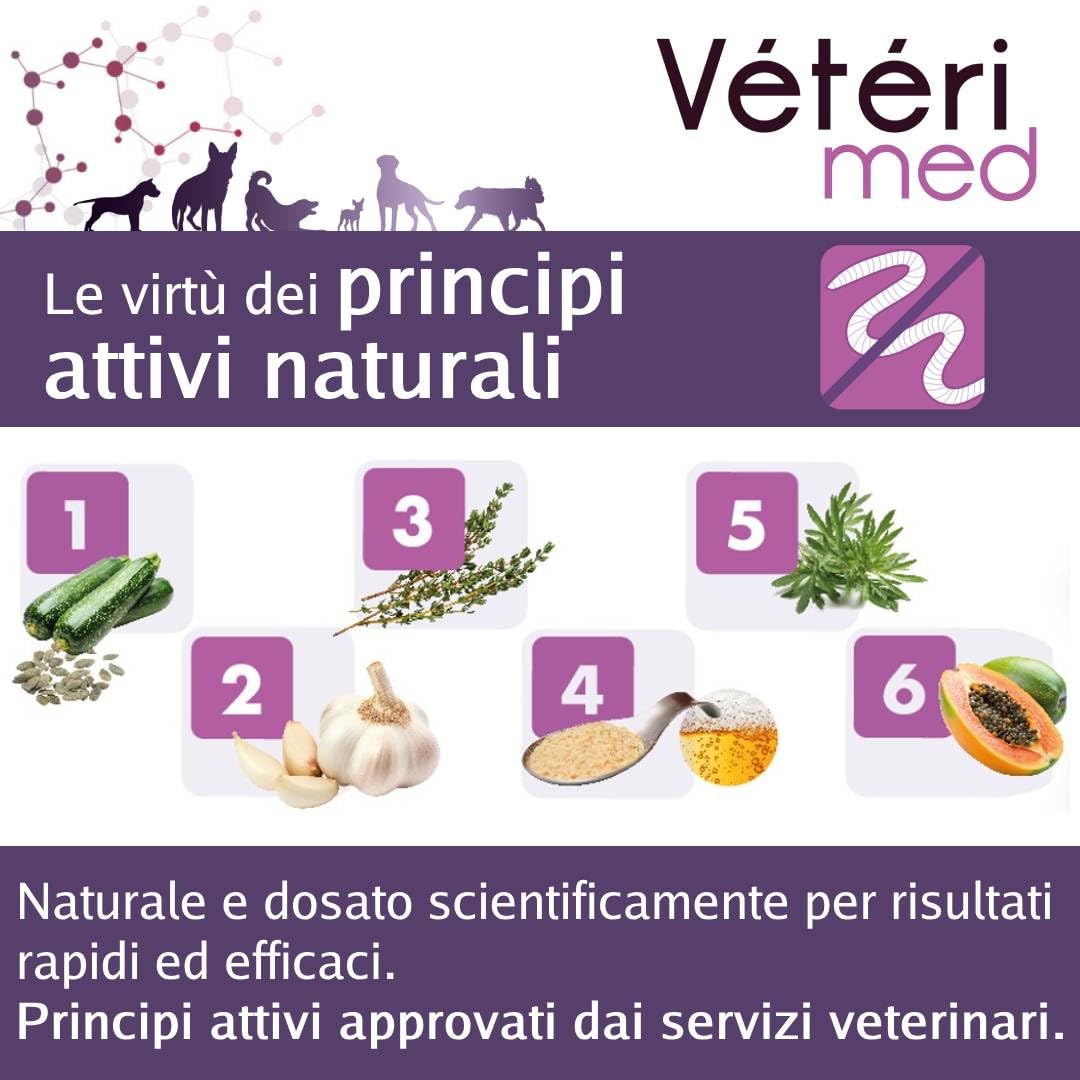 Comprimés vermifuges naturels pour l'hygiène intestinale des Chiens - Agit sur Tous Types de vers - Fabriqué en France - 30 comprimés - Version Italienne